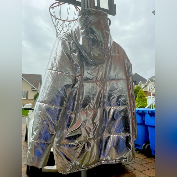 Silver Puffer - Picture 2 of 4